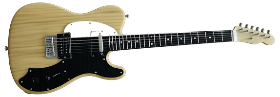 Chitarra Paolo Milano